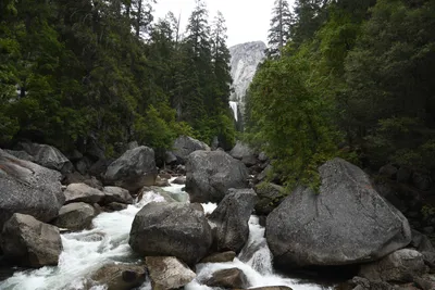 DSC_4693 (Large).JPG